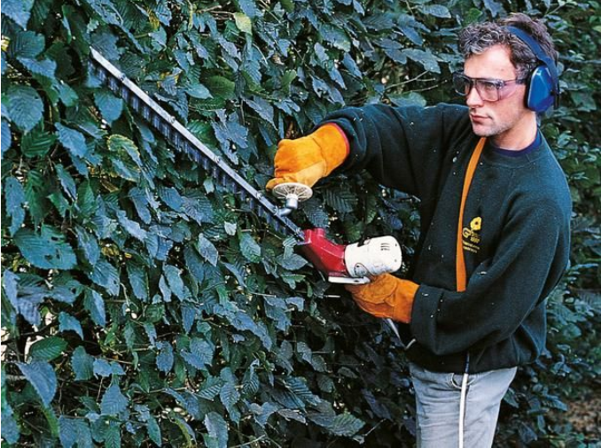 Why Regular Hedge Trimming Matters for Curb Appeal